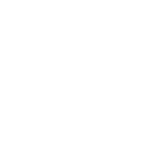 LABEL-FST---Logo-officiel-white